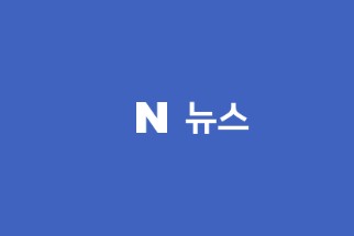 N News Naver Logo