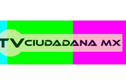 Portuguese News Room Image