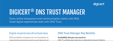 DNS Trust Manager Image
