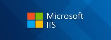 Microsoft IIS Card