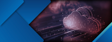 Web Application Firewall (WAF)