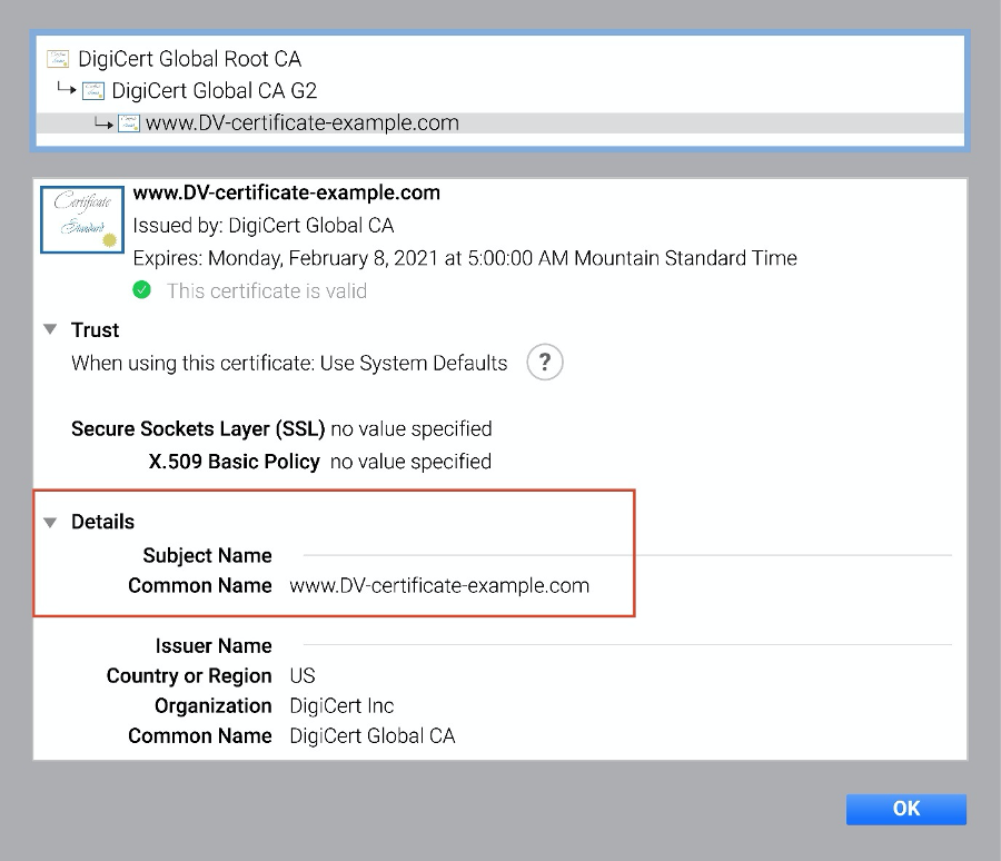 DV TLS SSL Certificate in Chrome