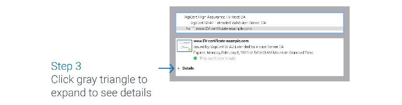 EV TLS SSL Certificates
