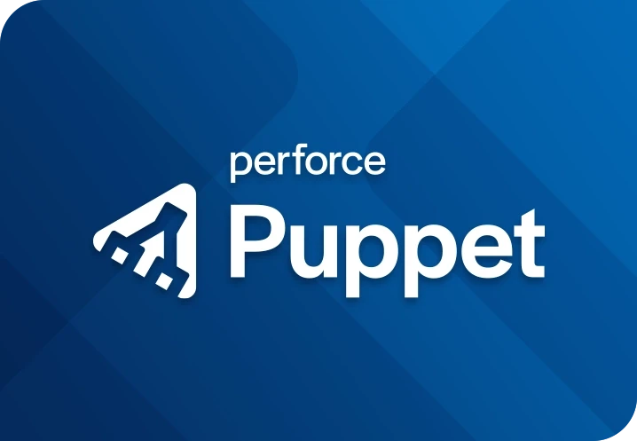 Puppet Hero