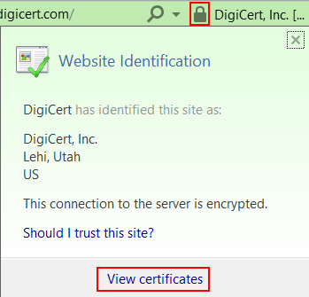 In Internet Explorer (IE), viewing certificate's OCSP url