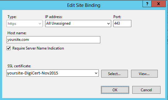 IIS Manager Edit Site Binding Window