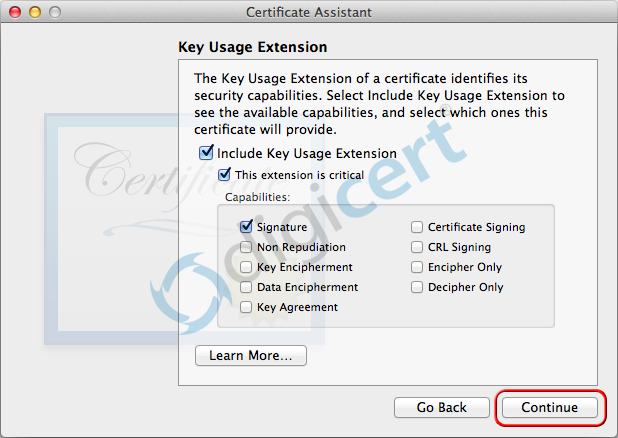 Key Usage Extension